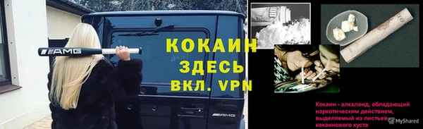 не бодяженный Белокуриха