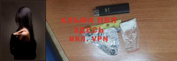 spice Беломорск