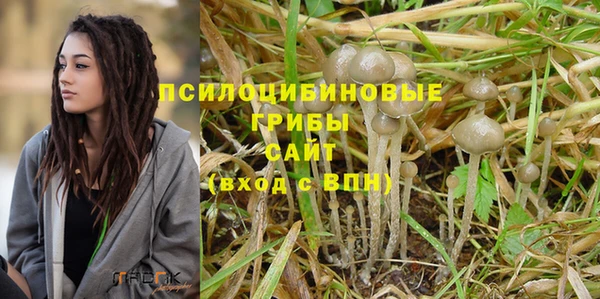spice Беломорск